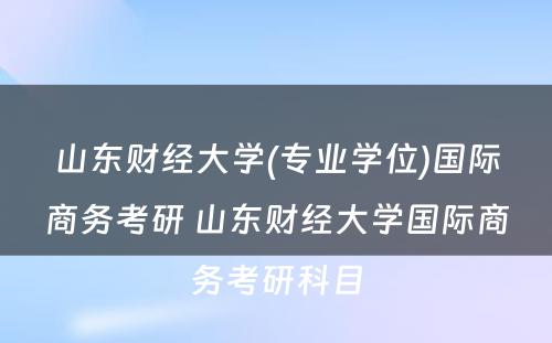 山东财经大学(专业学位)国际商务考研 山东财经大学国际商务考研科目