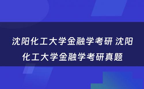 沈阳化工大学金融学考研 沈阳化工大学金融学考研真题