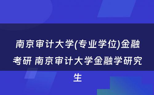 南京审计大学(专业学位)金融考研 南京审计大学金融学研究生