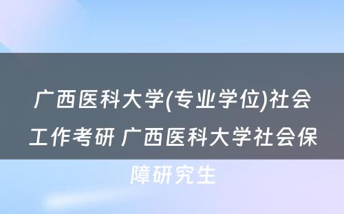 广西医科大学(专业学位)社会工作考研 广西医科大学社会保障研究生