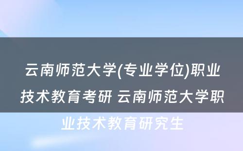 云南师范大学(专业学位)职业技术教育考研 云南师范大学职业技术教育研究生