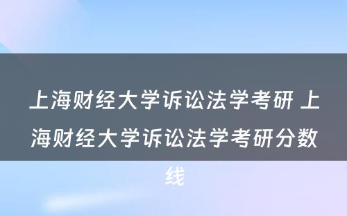 上海财经大学诉讼法学考研 上海财经大学诉讼法学考研分数线