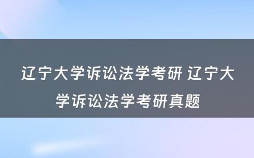 辽宁大学诉讼法学考研 辽宁大学诉讼法学考研真题