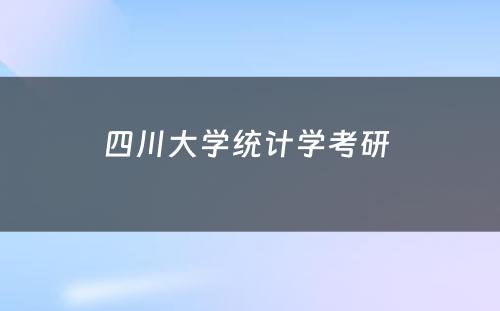 四川大学统计学考研 