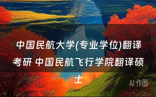 中国民航大学(专业学位)翻译考研 中国民航飞行学院翻译硕士