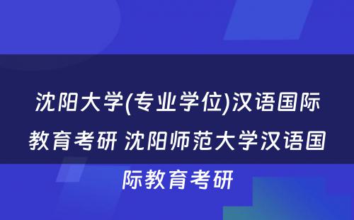 沈阳大学(专业学位)汉语国际教育考研 沈阳师范大学汉语国际教育考研