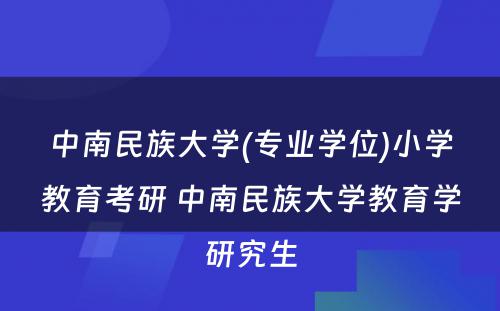 中南民族大学(专业学位)小学教育考研 中南民族大学教育学研究生