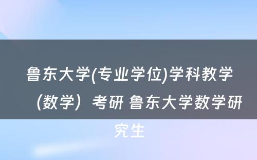 鲁东大学(专业学位)学科教学（数学）考研 鲁东大学数学研究生