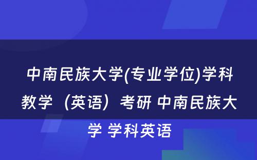 中南民族大学(专业学位)学科教学（英语）考研 中南民族大学 学科英语