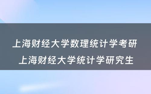 上海财经大学数理统计学考研 上海财经大学统计学研究生