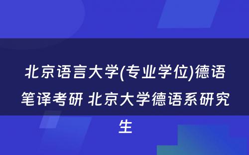 北京语言大学(专业学位)德语笔译考研 北京大学德语系研究生