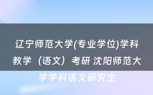 辽宁师范大学(专业学位)学科教学（语文）考研 沈阳师范大学学科语文研究生