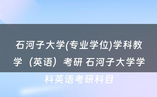 石河子大学(专业学位)学科教学（英语）考研 石河子大学学科英语考研科目