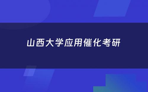 山西大学应用催化考研 