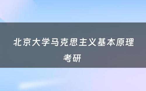 北京大学马克思主义基本原理考研 