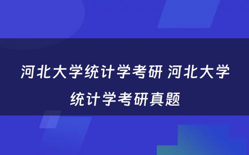 河北大学统计学考研 河北大学统计学考研真题