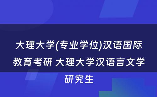 大理大学(专业学位)汉语国际教育考研 大理大学汉语言文学研究生