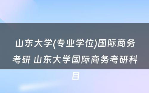 山东大学(专业学位)国际商务考研 山东大学国际商务考研科目