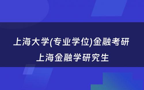 上海大学(专业学位)金融考研 上海金融学研究生