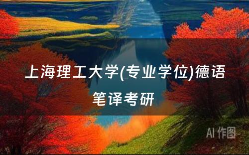 上海理工大学(专业学位)德语笔译考研 