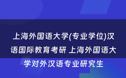 上海外国语大学(专业学位)汉语国际教育考研 上海外国语大学对外汉语专业研究生