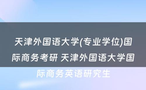 天津外国语大学(专业学位)国际商务考研 天津外国语大学国际商务英语研究生