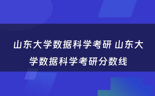 山东大学数据科学考研 山东大学数据科学考研分数线