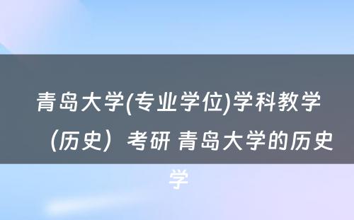 青岛大学(专业学位)学科教学（历史）考研 青岛大学的历史学