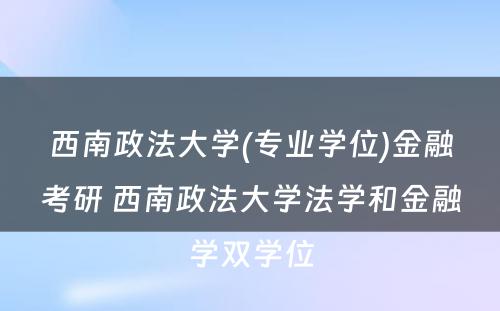 西南政法大学(专业学位)金融考研 西南政法大学法学和金融学双学位