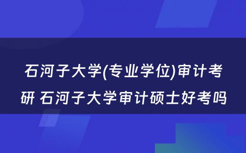 石河子大学(专业学位)审计考研 石河子大学审计硕士好考吗