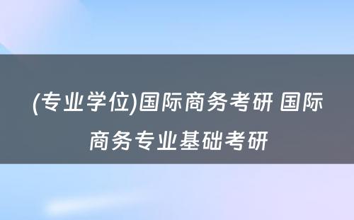 (专业学位)国际商务考研 国际商务专业基础考研