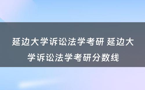 延边大学诉讼法学考研 延边大学诉讼法学考研分数线