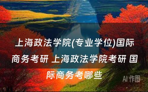 上海政法学院(专业学位)国际商务考研 上海政法学院考研 国际商务考哪些