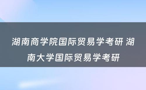 湖南商学院国际贸易学考研 湖南大学国际贸易学考研