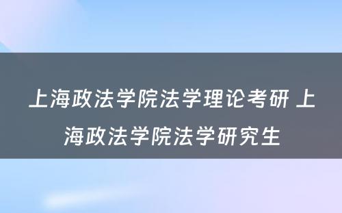 上海政法学院法学理论考研 上海政法学院法学研究生