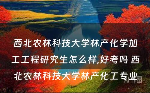 西北农林科技大学林产化学加工工程研究生怎么样,好考吗 西北农林科技大学林产化工专业