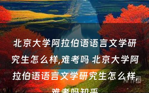 北京大学阿拉伯语语言文学研究生怎么样,难考吗 北京大学阿拉伯语语言文学研究生怎么样,难考吗知乎