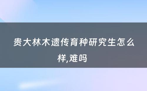 贵大林木遗传育种研究生怎么样,难吗 