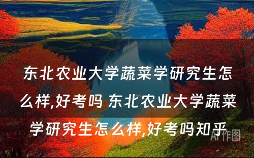 东北农业大学蔬菜学研究生怎么样,好考吗 东北农业大学蔬菜学研究生怎么样,好考吗知乎