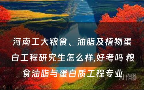 河南工大粮食、油脂及植物蛋白工程研究生怎么样,好考吗 粮食油脂与蛋白质工程专业