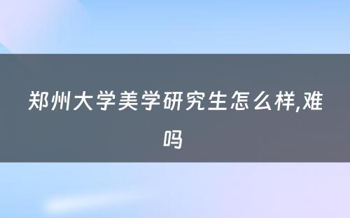 郑州大学美学研究生怎么样,难吗 