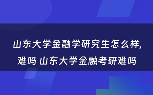 山东大学金融学研究生怎么样,难吗 山东大学金融考研难吗