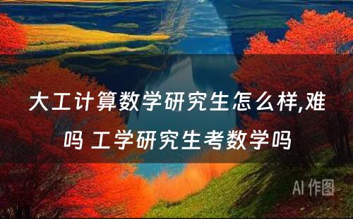 大工计算数学研究生怎么样,难吗 工学研究生考数学吗