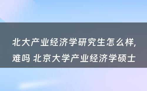 北大产业经济学研究生怎么样,难吗 北京大学产业经济学硕士