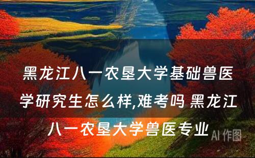 黑龙江八一农垦大学基础兽医学研究生怎么样,难考吗 黑龙江八一农垦大学兽医专业