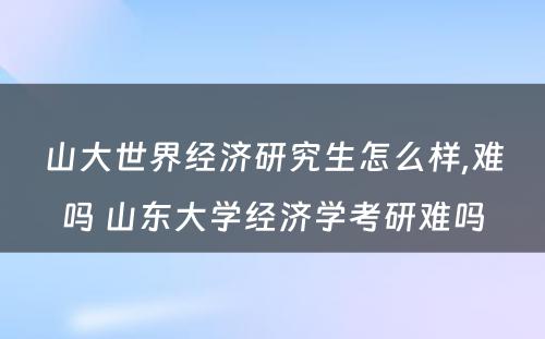 山大世界经济研究生怎么样,难吗 山东大学经济学考研难吗