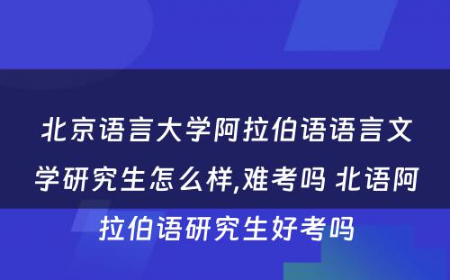 北京语言大学阿拉伯语语言文学研究生怎么样,难考吗 北语阿拉伯语研究生好考吗