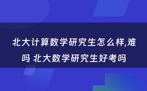 北大计算数学研究生怎么样,难吗 北大数学研究生好考吗