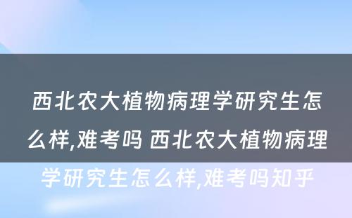 西北农大植物病理学研究生怎么样,难考吗 西北农大植物病理学研究生怎么样,难考吗知乎