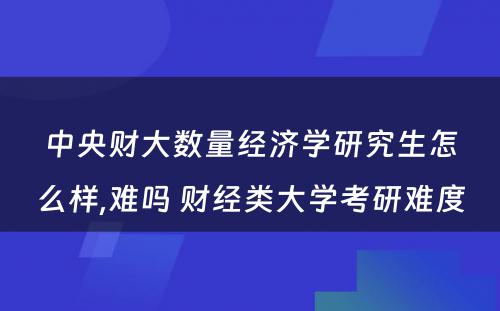 中央财大数量经济学研究生怎么样,难吗 财经类大学考研难度